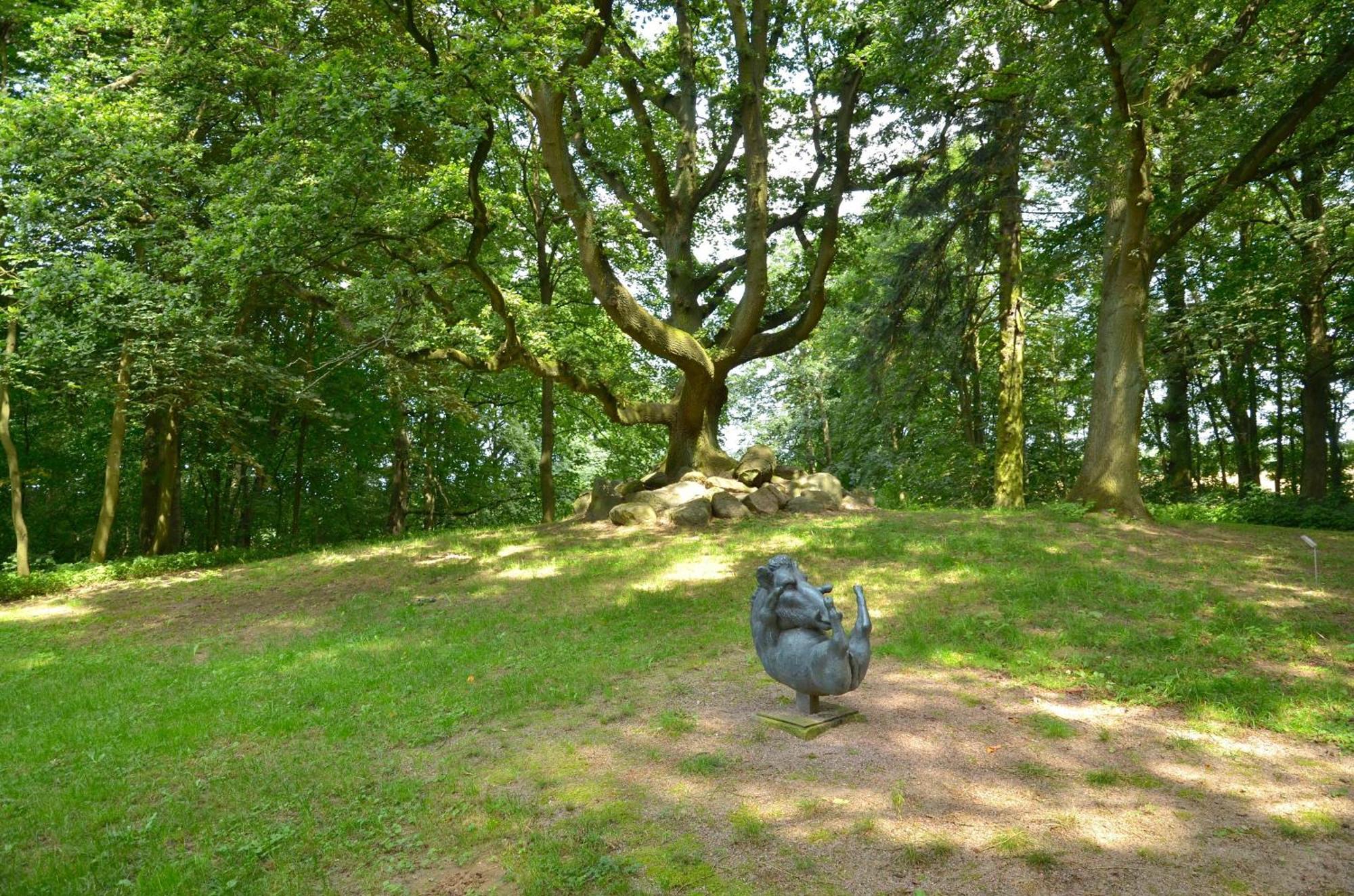 Jagdschloss Zu Hohen Niendorf Fewo 7 Ngoại thất bức ảnh